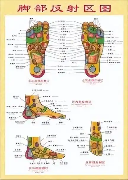 人壮全凭脚健,脚是健康总根.