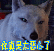 你真是太恶心了gif恶心gif动漫gif二次元gif