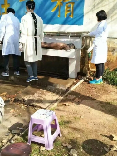 医学院学生直接在学生饮用水取水处冲洗尸体标本