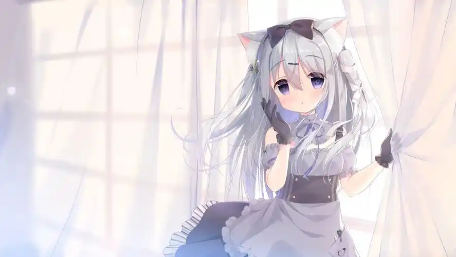 4k60高清高帧动态壁纸这么可爱的女仆不会是你家的吧银虎龙女仆