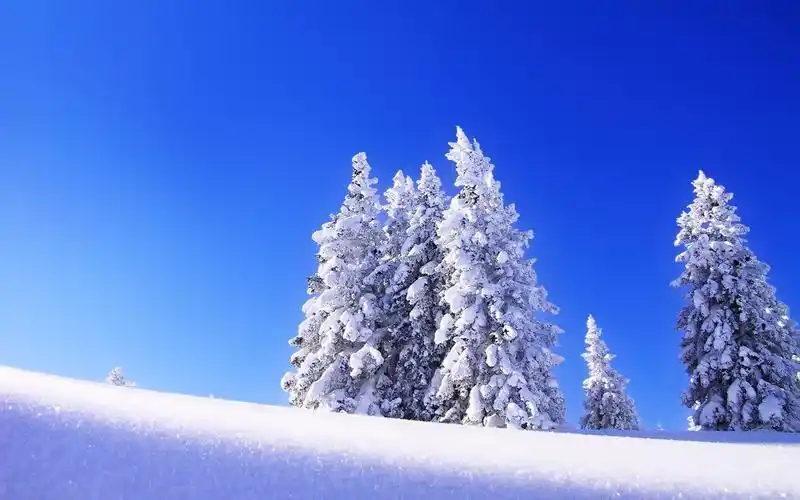 冰天雪地自然唯美风景