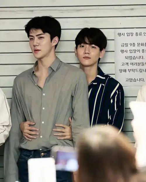 勋白来一对磕一对