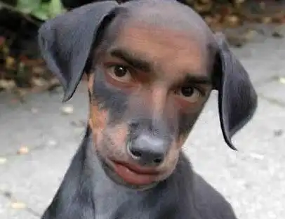 2017超级搞笑qq签名