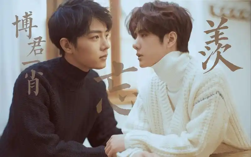 陈情令丨忘羡魏无羡蓝忘机丨博君一肖踩点高燃快剪