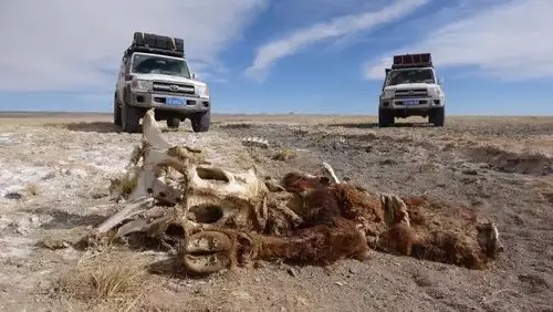 中国面积最大无人区可可西里到底多危险过来人最好别去