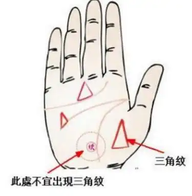 请问大师,左右手都有三角纹是什么意思?