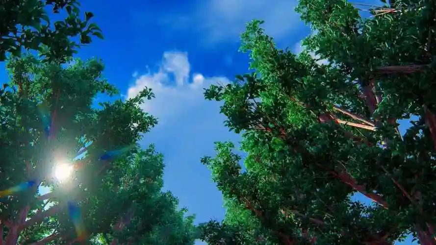 开车沿途风景视频素材,延时摄影视频素材下载,高清3840x2160视频素材