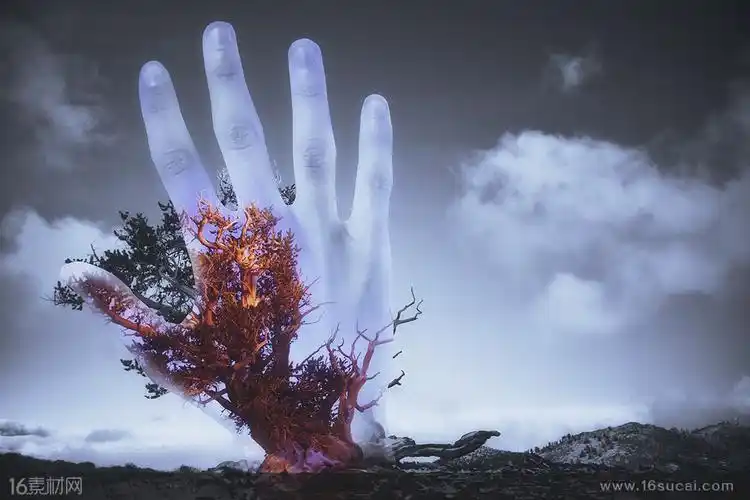 荒凉的土地上伸出一只手创意高清图片