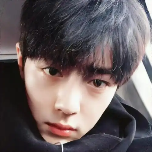 肖战头像更新啦95