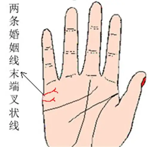 婚姻线有分叉的几种预示有九种失败的婚姻线你知道吗