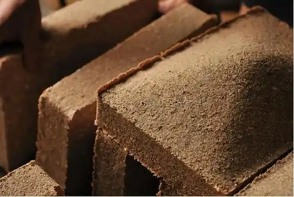 西藏一家人自驾游到海南吃龙虾喝茅台没想到返程时有家不能回