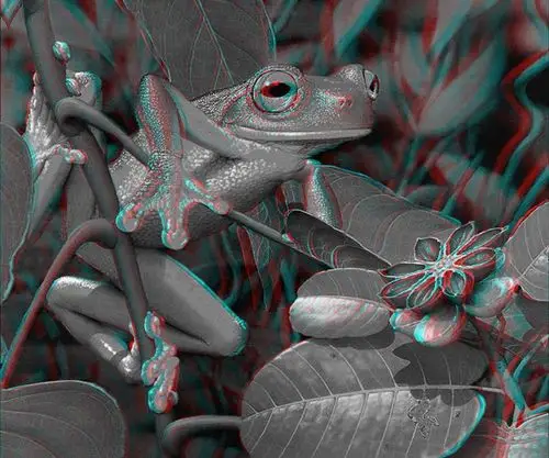 3d红蓝图片集锦 需要佩戴红蓝眼镜观看