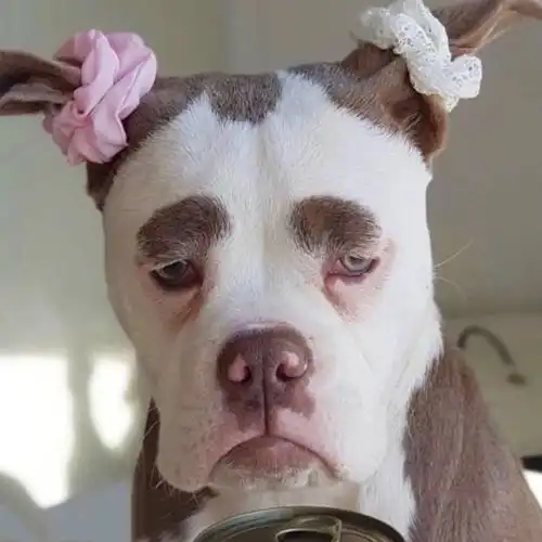 每日一笑:女人的嘴,骗人的鬼,你敢相信吗?