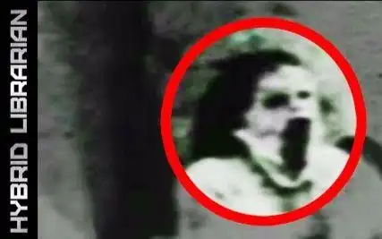 【hybrid librarian】七个最令人毛骨悚然的真实幽灵照片(万圣节特辑)