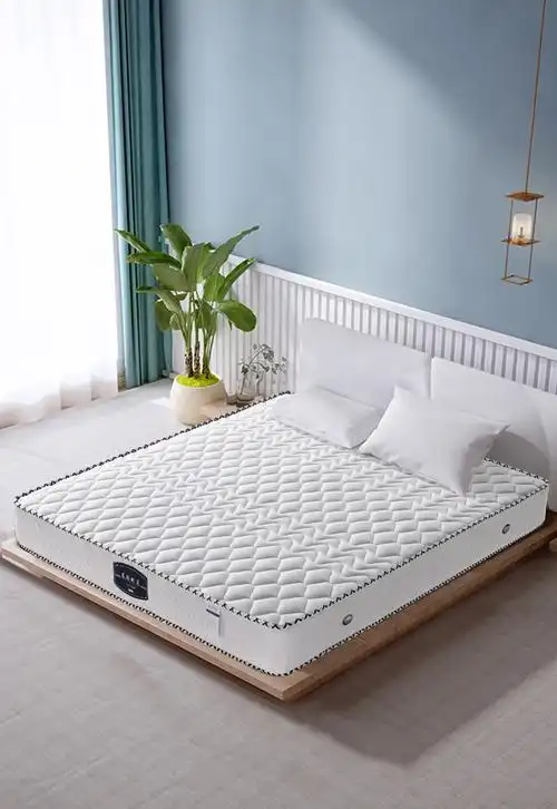 慕胜弹簧床垫席梦思床垫18m床软硬两用椰棕弹簧床垫20cm厚软垫家用15