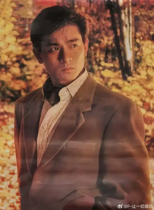 刘德华被美颜误伤