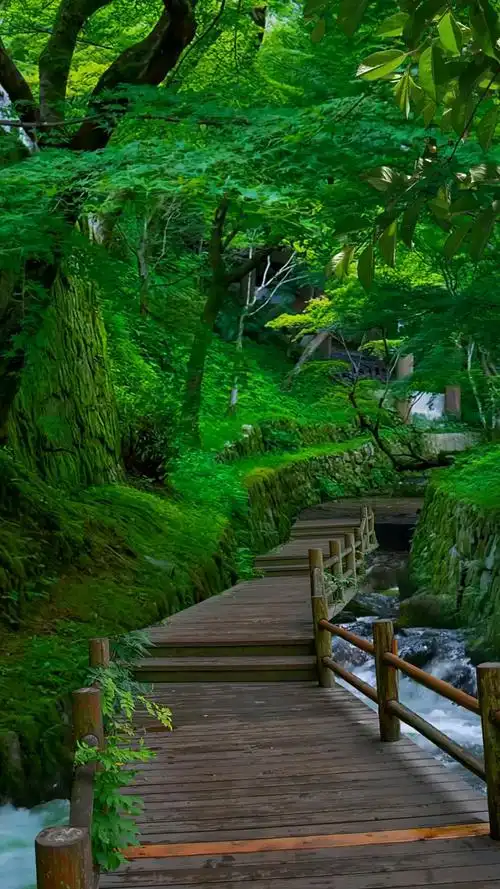 我的私藏景点#分享大自然美景风景如画