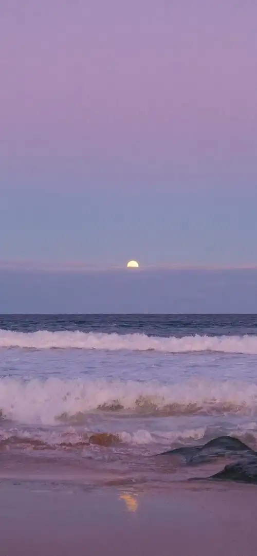 紫色系,背景图,送给优雅的你