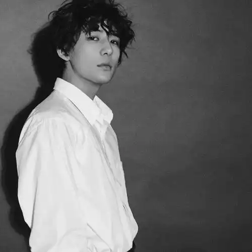 微信头像王安宇