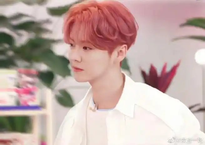 鹿晗又染粉发