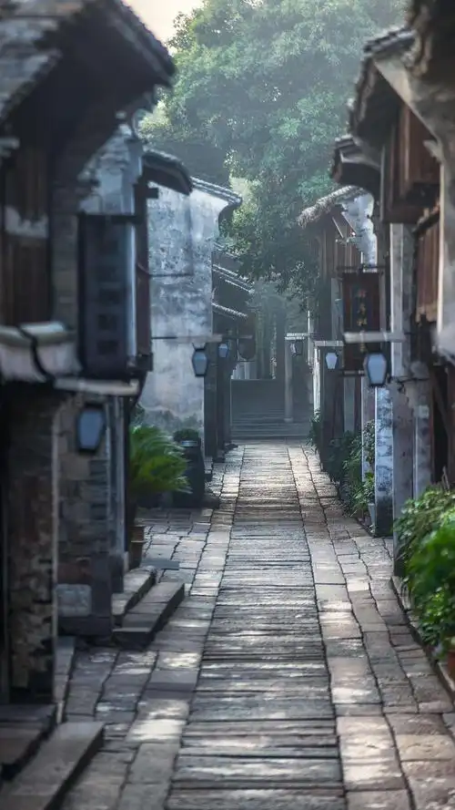 江南是风姿绰约又千变万化的,这六个江南古镇你都去过了吗?@视觉中国