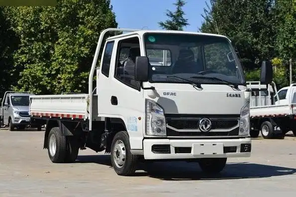 东风品牌历史悠久,长期专注于轻卡和重卡的生产制造,品质相对上乘.