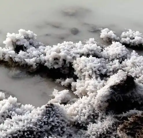 盐卤(其他饮食相关)