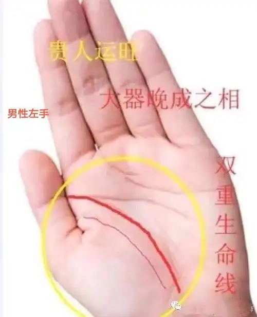 国学文化科学了解手手纹生命线知识图解