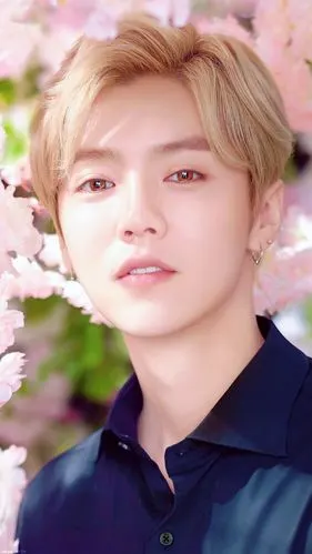 鹿晗欧舒丹甜蜜樱花系列代言图by磨叽磨