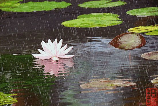 "柳外轻雷池上雨,雨声滴碎荷声"的春,"接天莲叶无穷碧,映日荷花别样红