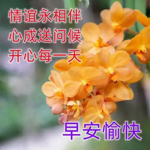清晨发老同学温馨美好的早上好问候语最新版早安问候语图片