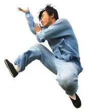 陈式太极功夫系列之2:老架二路