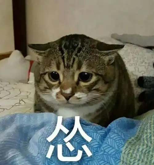 撩妹可爱呆萌猫斗图沙雕表情包第二弹