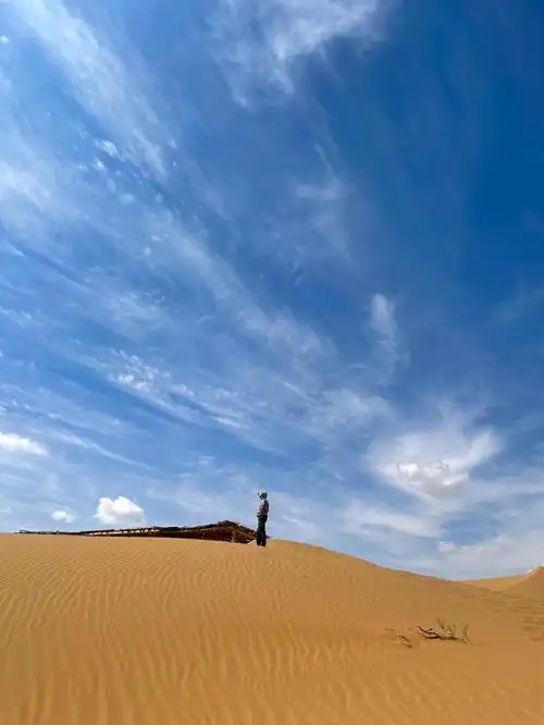 腾格里沙漠露营72