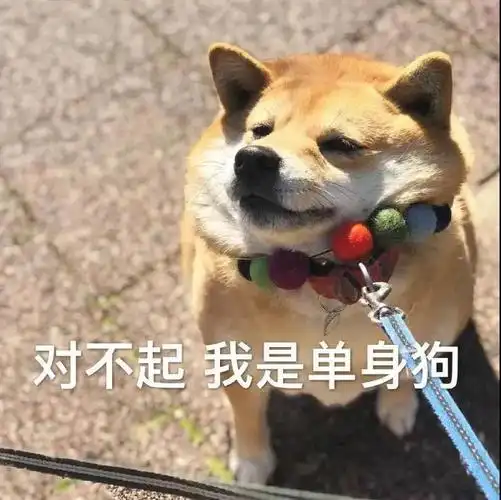 最新最流行沙雕表情包最近很火的搞笑表情包图片