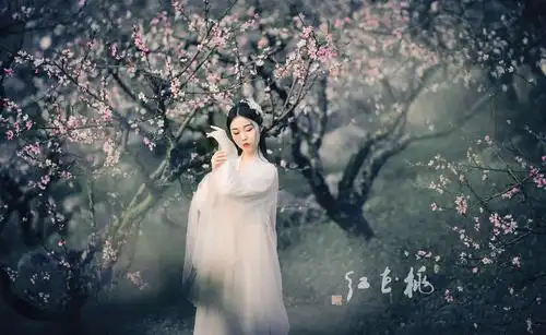 烟雨江南醉桃花