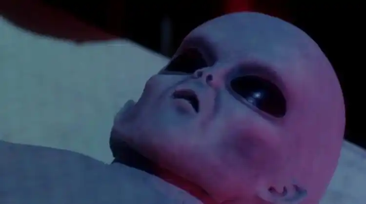 "姑姑"的恬淡仙气甩得干净彻底,将销魂蚀骨的美艳尤物演得令人心痒痒