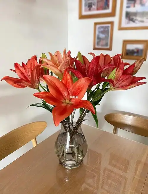 入秋的第一束花儿72红宝石亚百合73