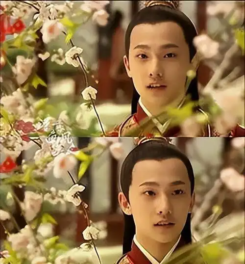 同演"贾宝玉",有人仿佛翩翩贵公子走出来,有人贼眉鼠眼色眯眯