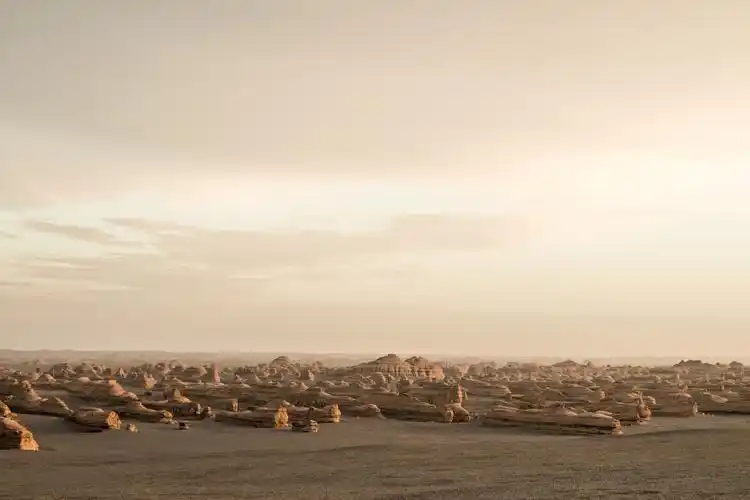 新疆罗布泊地区 崔家莹摄