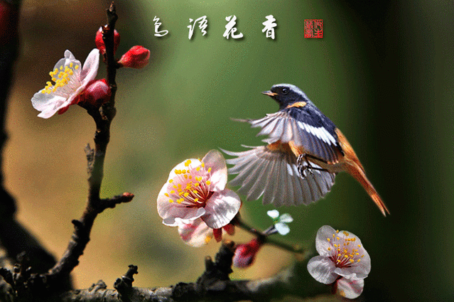 缘来是你 - 网络杂谈之百科全书大全