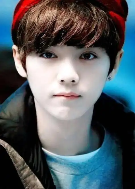 鹿晗个人资料简介及家世介绍(作为内娱第一位顶流男星,鹿晗是现象级的