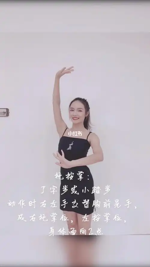 八个手位即:单山膀,双山膀,顺风旗,托按掌,双托掌,山膀按掌,冲掌,双提