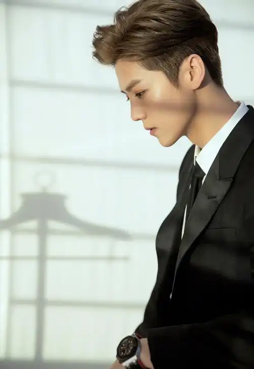 男艺人鹿晗黑色西装帅气活动写真