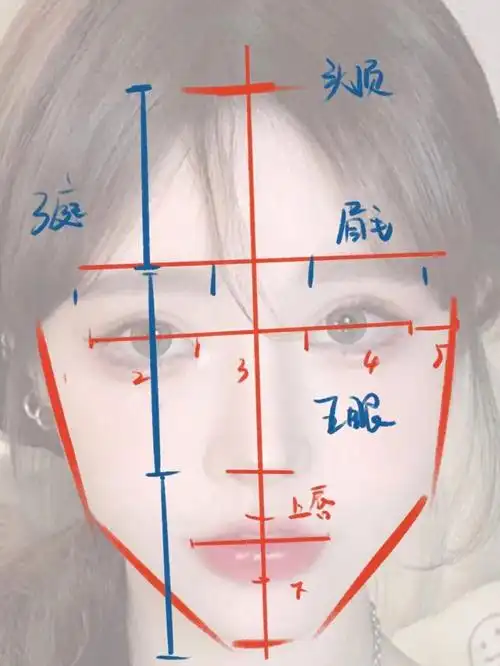 素材分享  #寻找小红书绘画大神  #教程  #三庭五眼 #板