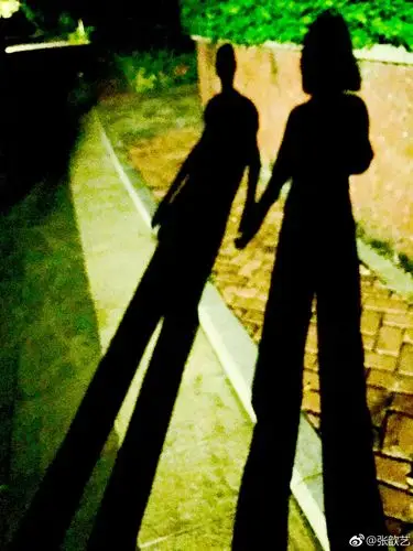 张歆艺为袁弘庆生晒牵手照 昨她刚给他戴"绿帽"