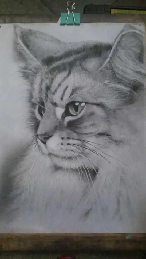 铅笔画素描画铅笔素描教程