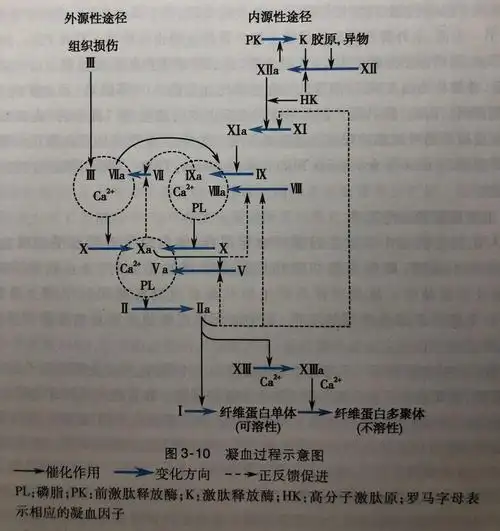 如何预防毒蛇咬伤和进行急救