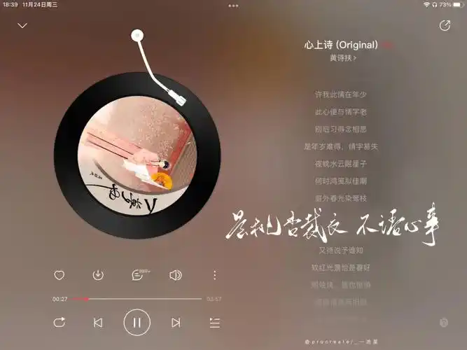 还有一句从来身在情中系但是写不下了:d#背景图  #板写  #手写歌词