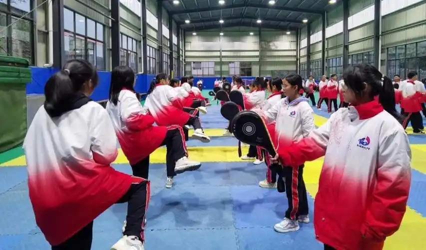 模块化教学让学生爱有所学贵州某中学体育课的新打法